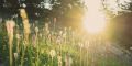 � �������� ���� ������� � ������������ �� +32 �������� � ��� �������
