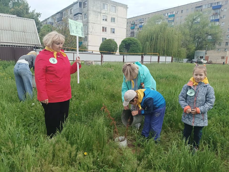 Дети из центра «Семья» приняли участие в акции «Сад - связь поколений» Дети из центра «Семья» приняли участие в акции «Сад - связь поколений»