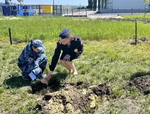 В Балтае полицейские и юные друзья полиции поддержали акцию #СадПамяти В Балтае полицейские и юные друзья полиции поддержали акцию #СадПамяти