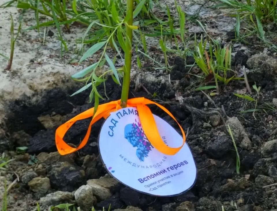 В Балтае полицейские и юные друзья полиции поддержали акцию #СадПамяти В Балтае полицейские и юные друзья полиции поддержали акцию #СадПамяти