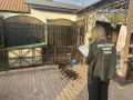В Саратове проводится доследственная проверка по факту смерти мужчины