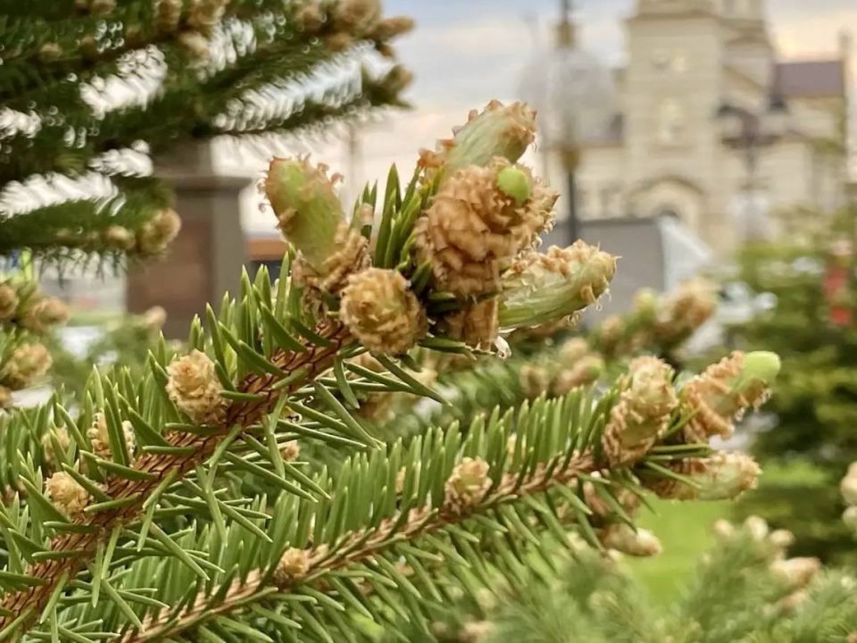 Саратов в кадре Саратов в кадре