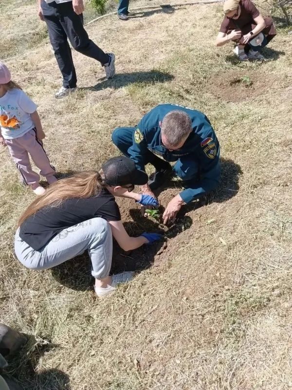 Сотрудники МЧС России присоединились к Всероссийской акции «Сад памяти» Сотрудники МЧС России присоединились к Всероссийской акции «Сад памяти»