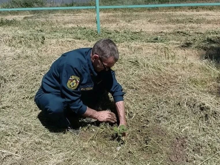 Сотрудники МЧС России присоединились к Всероссийской акции «Сад памяти» Сотрудники МЧС России присоединились к Всероссийской акции «Сад памяти»