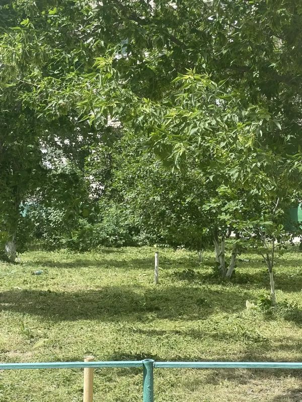 В Балаково ежедневно ведутся работы по покосу травы В Балаково ежедневно ведутся работы по покосу травы