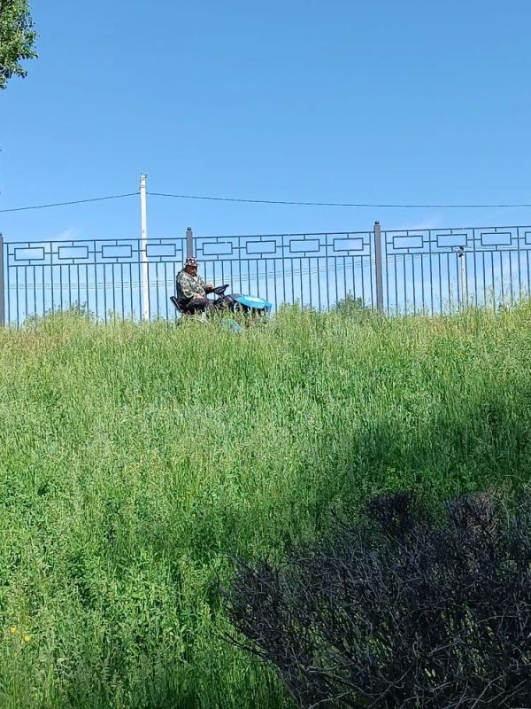 В Балаково ежедневно ведутся работы по покосу травы В Балаково ежедневно ведутся работы по покосу травы