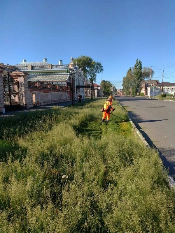 В Балаково ежедневно ведутся работы по покосу травы В Балаково ежедневно ведутся работы по покосу травы