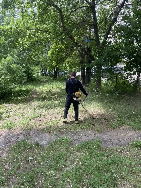 В Балаково ежедневно ведутся работы по покосу травы В Балаково ежедневно ведутся работы по покосу травы