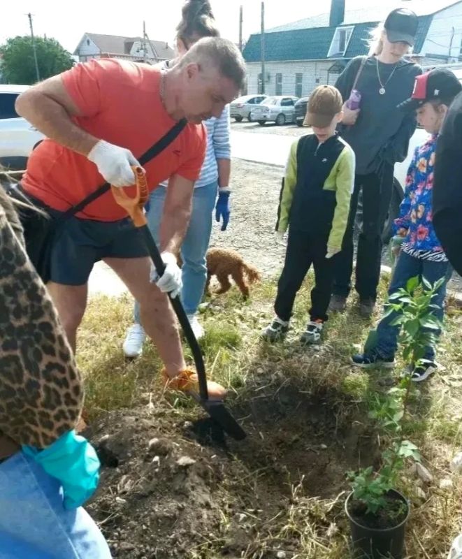 В Пугачёве полицейские, общественники и юные друзья полиции приняли участие в акции #СадПамяти В Пугачёве полицейские, общественники и юные друзья полиции приняли участие в акции #СадПамяти
