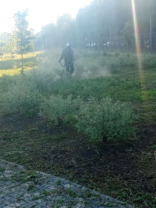 В Балаково продолжаются работы по обновлению дорожной разметки и покосу травы