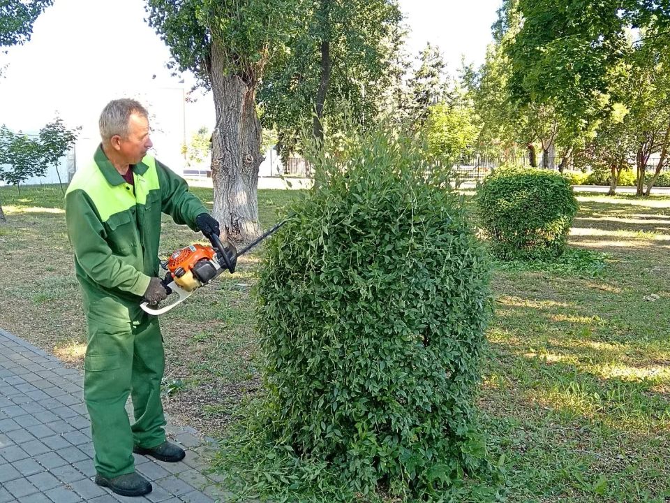 В Балаково продолжаются работы по обновлению дорожной разметки и покосу травы В Балаково продолжаются работы по обновлению дорожной разметки и покосу травы