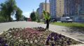 Итоги благоустройства| обновление автопарка МКУ «Городское хозяйство и высадка зеленых насаждений