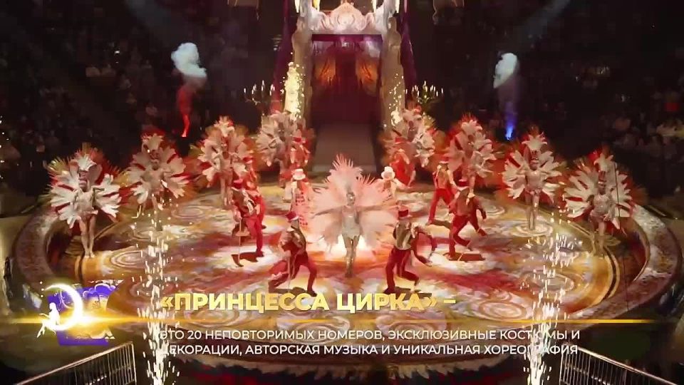 В Саратове завершился Международный фестиваль «Принцесса цирка»