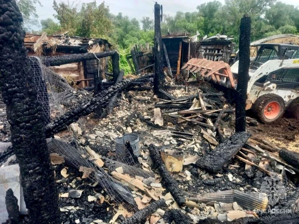 Под Вольском на пожаре в сарае погибли цыплята, кролики и бык