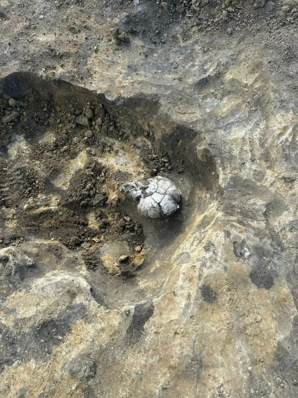 Археологи нашли в Воскресенском районе курганы с человеческими останками Археологи нашли в Воскресенском районе курганы с человеческими останками