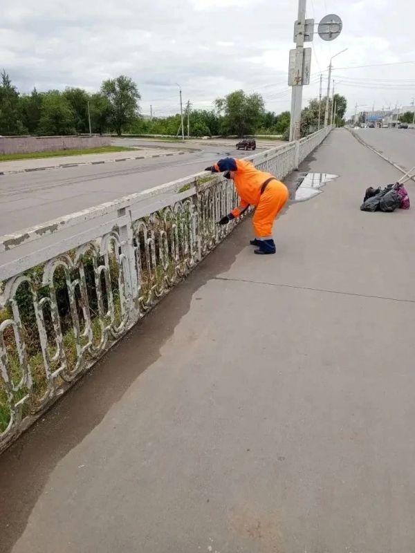 Покос травы, полив цветов, сбор мусора Покос травы, полив цветов, сбор мусора