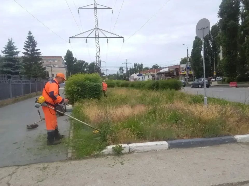 Покос травы, полив цветов, сбор мусора Покос травы, полив цветов, сбор мусора