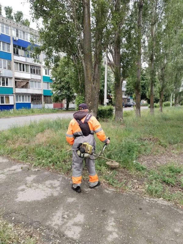 Покос травы, полив цветов, сбор мусора Покос травы, полив цветов, сбор мусора