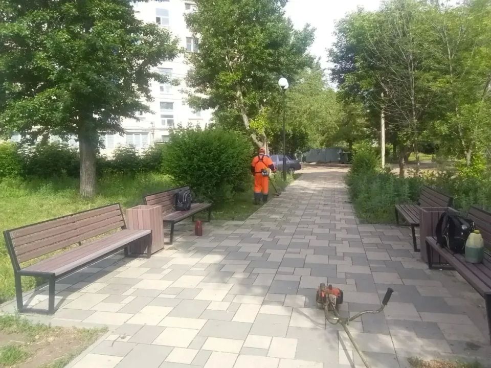 Покос травы, полив цветов, сбор мусора Покос травы, полив цветов, сбор мусора