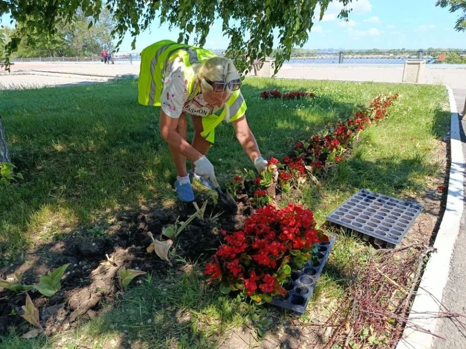 Благоустройство зеленых зон продолжается Благоустройство зеленых зон продолжается