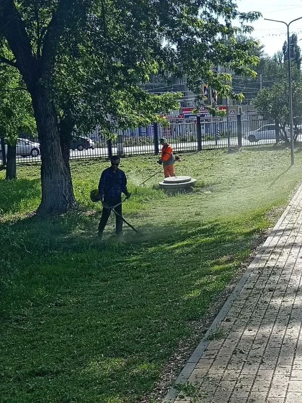 Полив дорог, покос травы, уборка общественных территорий: «Комбинат благоустройства» наводит порядок на городских улицах Полив дорог, покос травы, уборка общественных территорий: «Комбинат благоустройства» наводит порядок на городских улицах