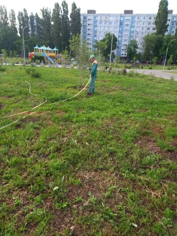 Полив дорог, покос травы, уборка общественных территорий: «Комбинат благоустройства» наводит порядок на городских улицах Полив дорог, покос травы, уборка общественных территорий: «Комбинат благоустройства» наводит порядок на городских улицах