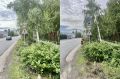 Обеспечиваем видимость знаков дорожного движения