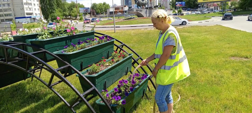 Благоустройство зеленых зон продолжается Благоустройство зеленых зон продолжается