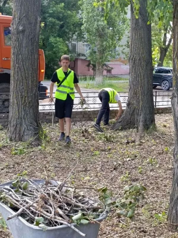 Полив дорог, покос травы, уборка общественных территорий: «Комбинат благоустройства» наводит порядок на городских улицах Полив дорог, покос травы, уборка общественных территорий: «Комбинат благоустройства» наводит порядок на городских улицах
