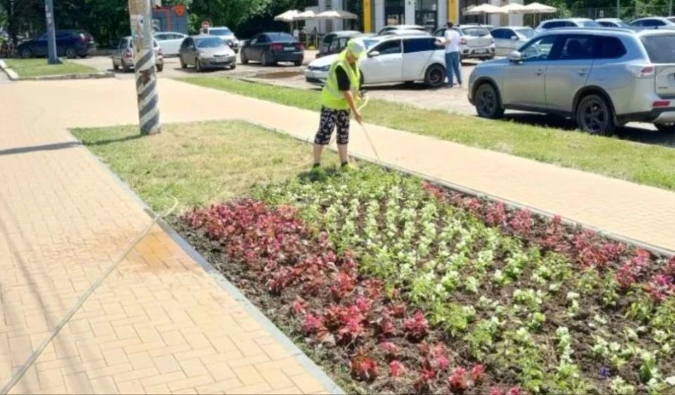 Благоустройство зеленых зон продолжается Благоустройство зеленых зон продолжается