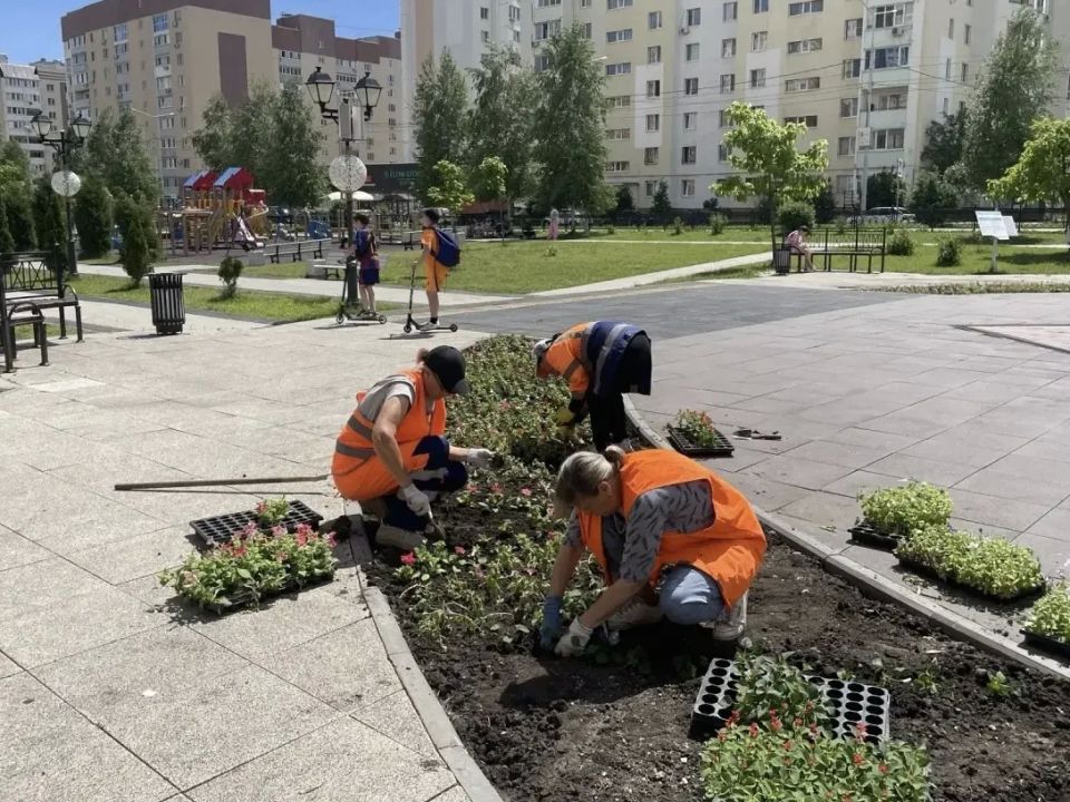 Продолжаются работы по благоустройству