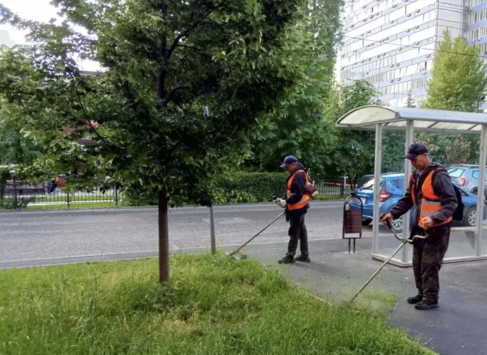 Продолжаются работы по благоустройству Продолжаются работы по благоустройству