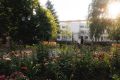 Саратов в кадре