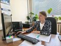 Муниципалитеты области готовятся представить территориальные бренды на всероссийском конкурсе