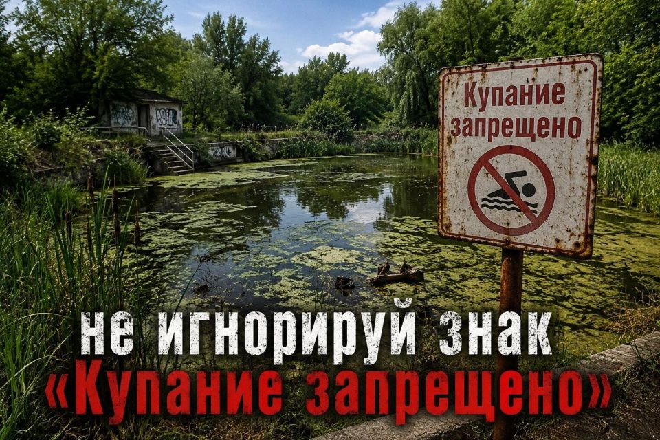 Завтра в Саратовской области официально стартует купальный сезон Завтра в Саратовской области официально стартует купальный сезон