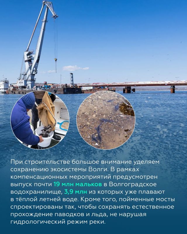 Приступили к надвижке пролётных строений мостового перехода через Волгу в Саратовской области Приступили к надвижке пролётных строений мостового перехода через Волгу в Саратовской области