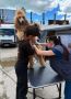 В Саратове , и прошли ветосмотр перед шоу