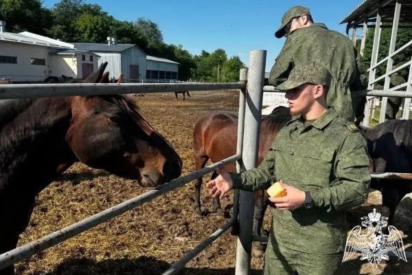 Акция «Один день с Роcгвардией» состоялась в Кабардино-Балкарии Акция «Один день с Роcгвардией» состоялась в Кабардино-Балкарии