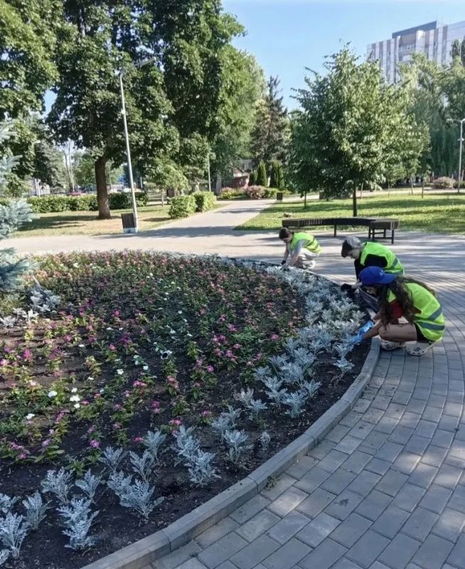 Покос травы, полив дорог, уборка мусора Покос травы, полив дорог, уборка мусора