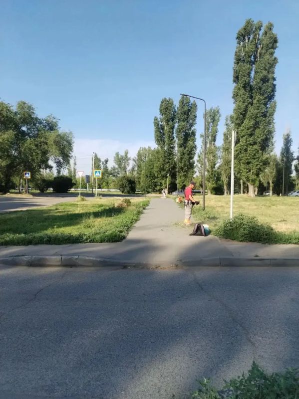 Покос травы, полив дорог, уборка мусора Покос травы, полив дорог, уборка мусора