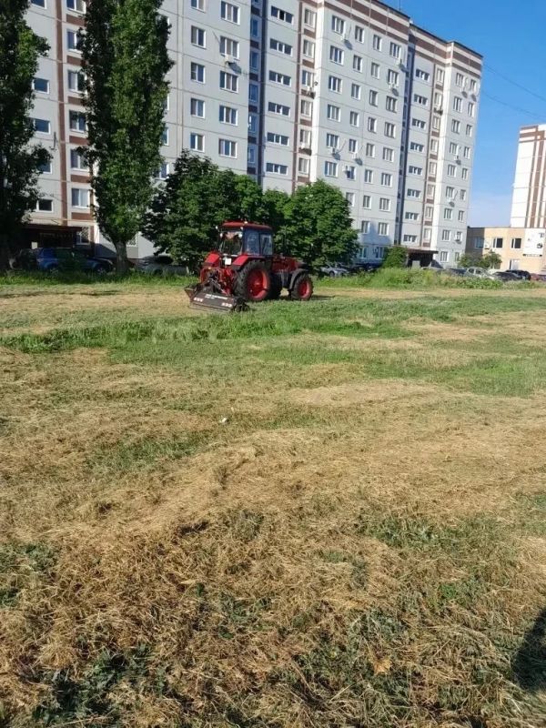 Покос травы, полив дорог, уборка мусора Покос травы, полив дорог, уборка мусора