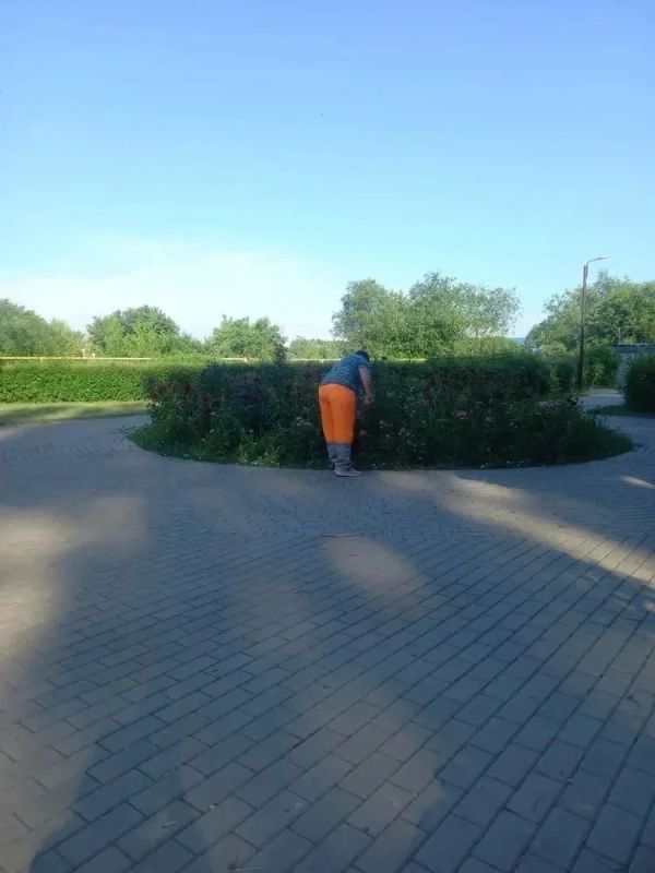 Покос травы, полив дорог, уборка мусора Покос травы, полив дорог, уборка мусора