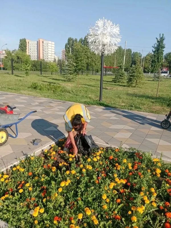 Покос травы, полив дорог, уборка мусора Покос травы, полив дорог, уборка мусора