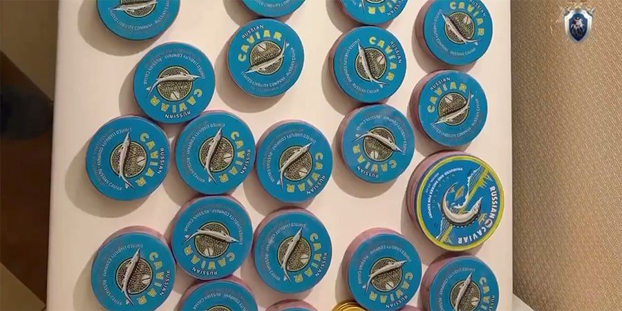 Жителя Саратова задержали за попытку сбыта 11 кг черной икры
