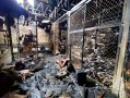 В Саратовской области за прошедшие сутки