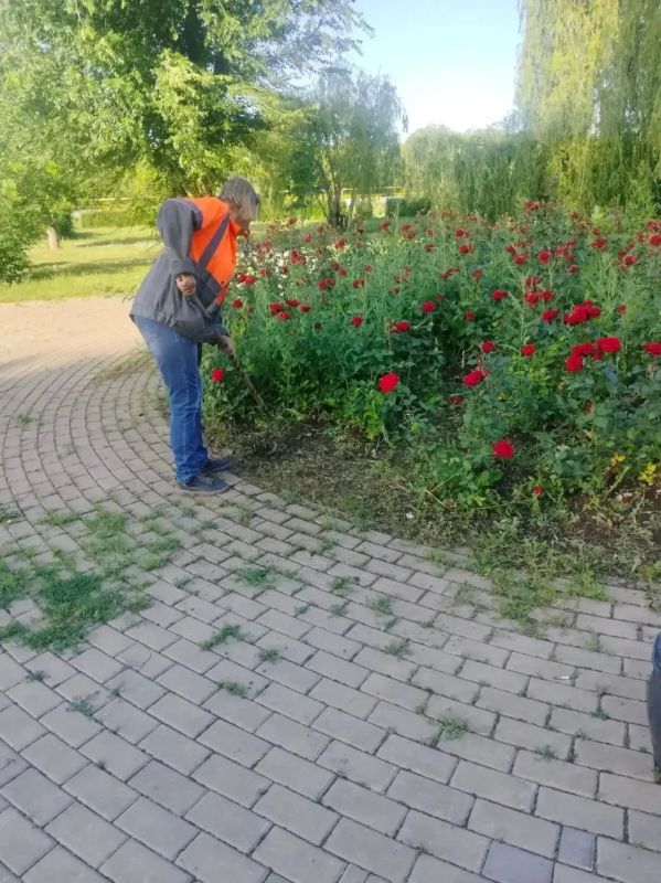 «Комбинат благоустройства» продолжает работы по покосу травы и нанесению пешеходной разметки «Комбинат благоустройства» продолжает работы по покосу травы и нанесению пешеходной разметки