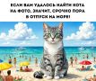 Кто не нашёл котика, работает дальше