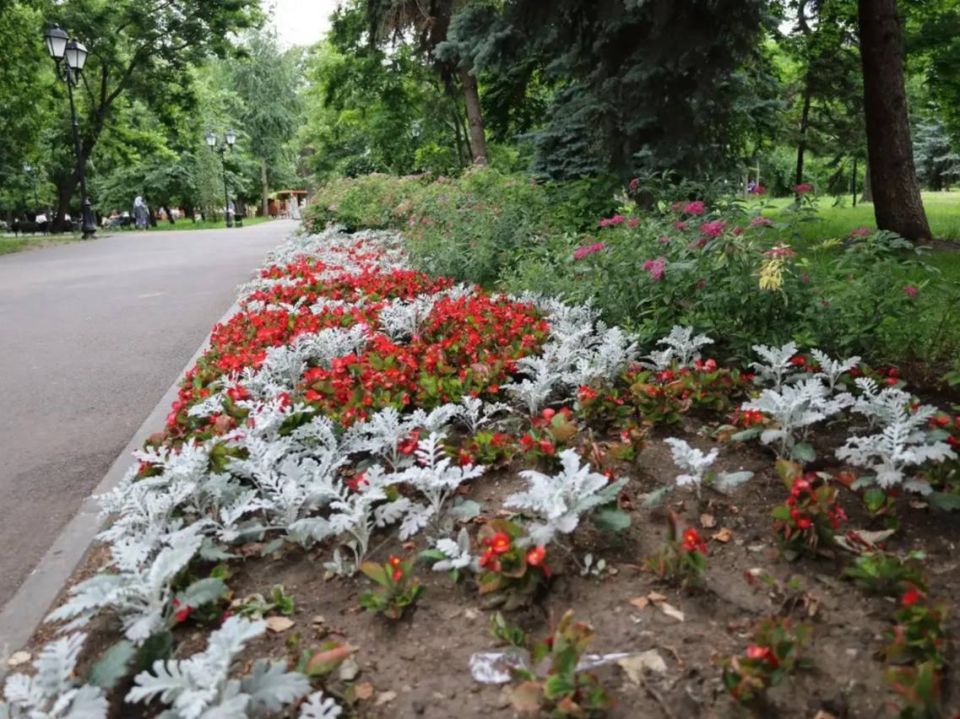 Саратов в кадре Саратов в кадре