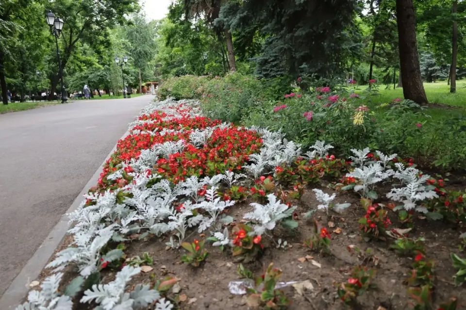 Саратов в кадре Саратов в кадре