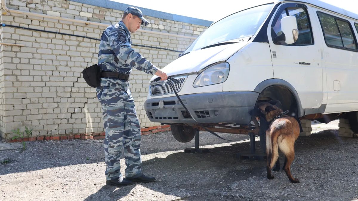 В центре кинологической службы регионального главка прошли областные соревнования среди кинологов В центре кинологической службы регионального главка прошли областные соревнования среди кинологов